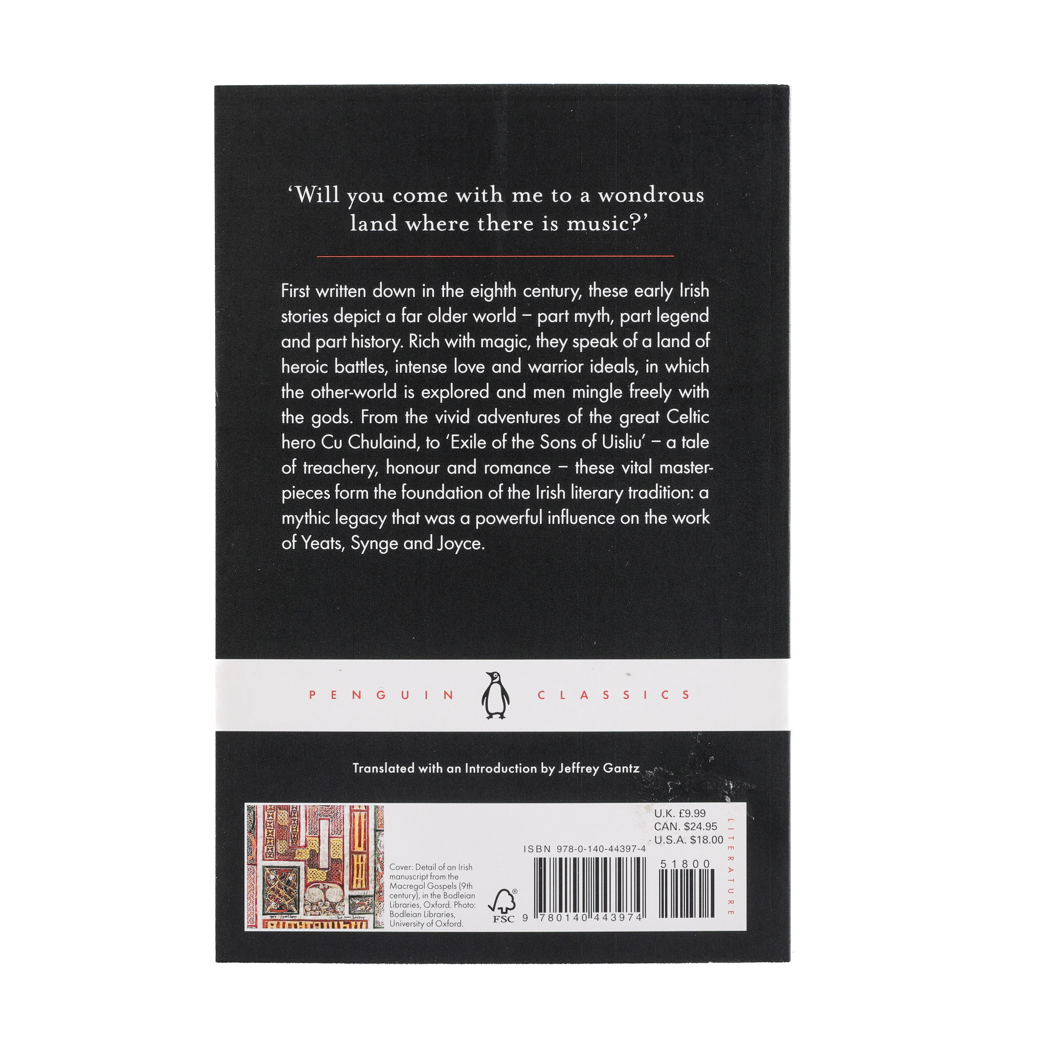 Early Irish Myths and Sagas Penguin Classics - Image 2