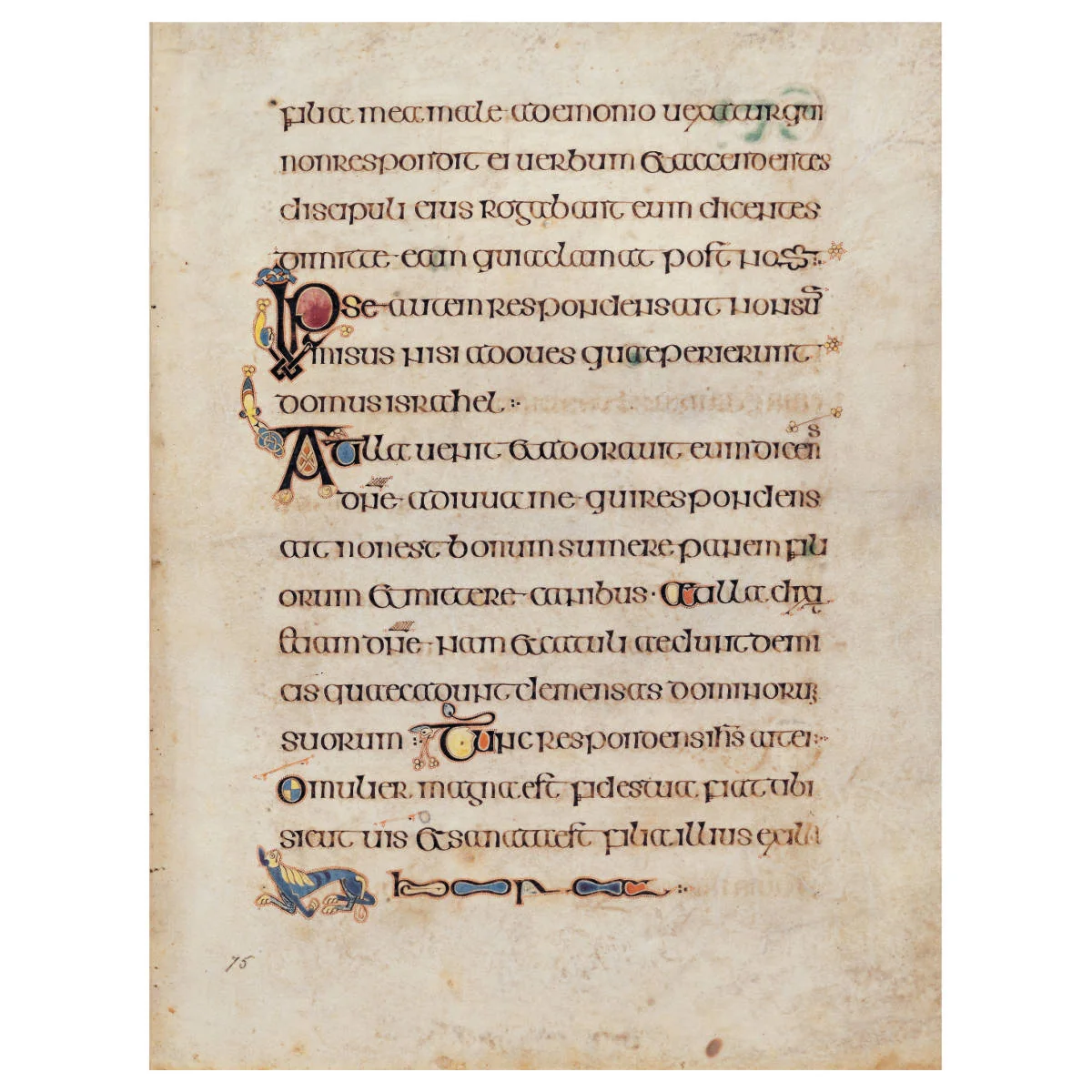 Le Livre de Kells Guide Officiel - Image 4