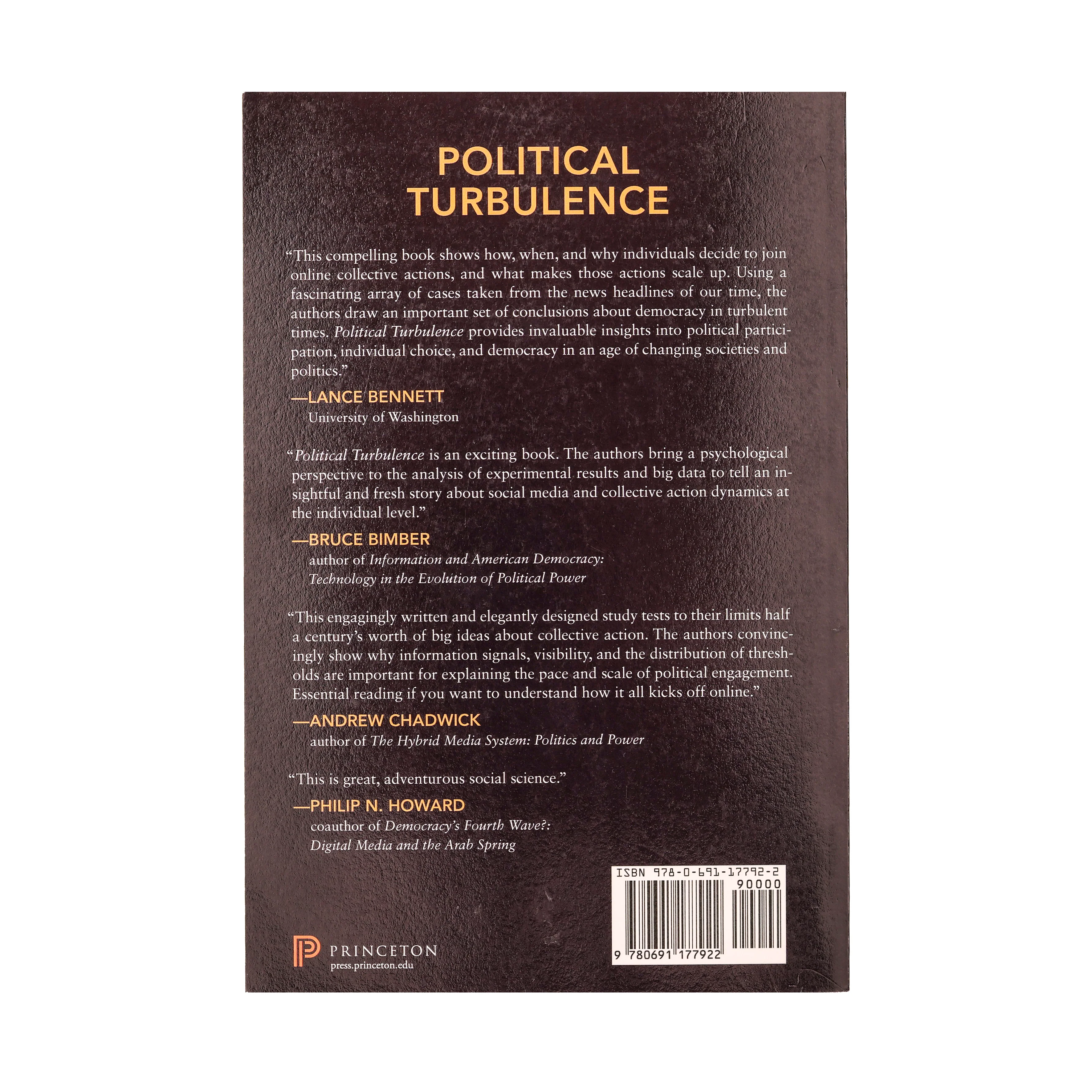 Political Turbulence - Image 2