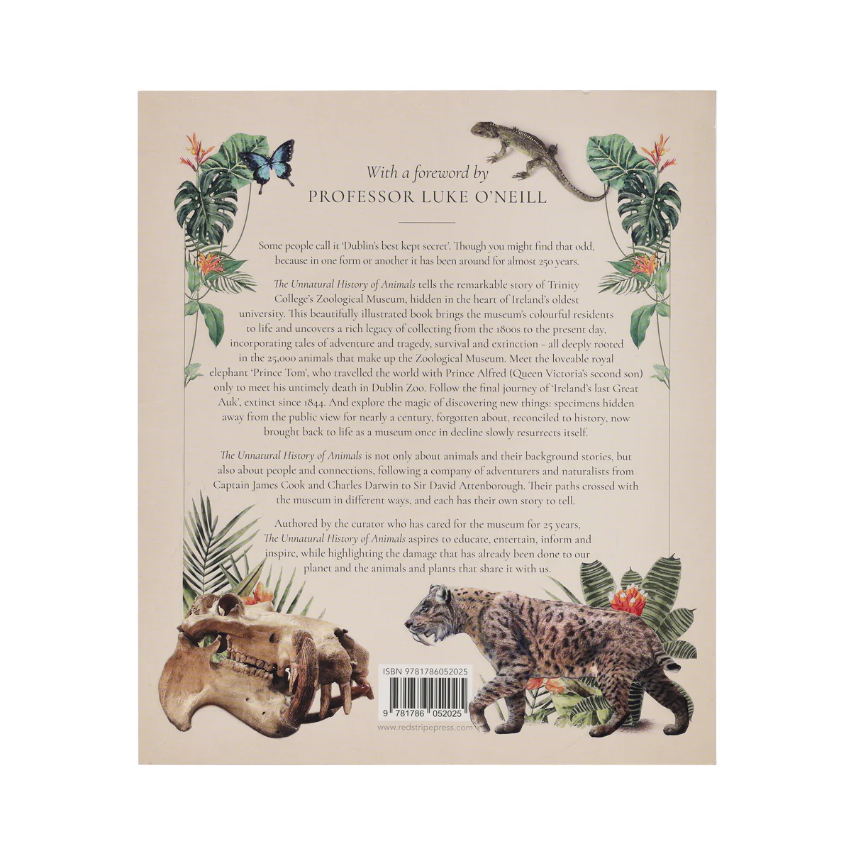 The Unnatural History of Animals. Tales from a Zoological Museum - Image 2
