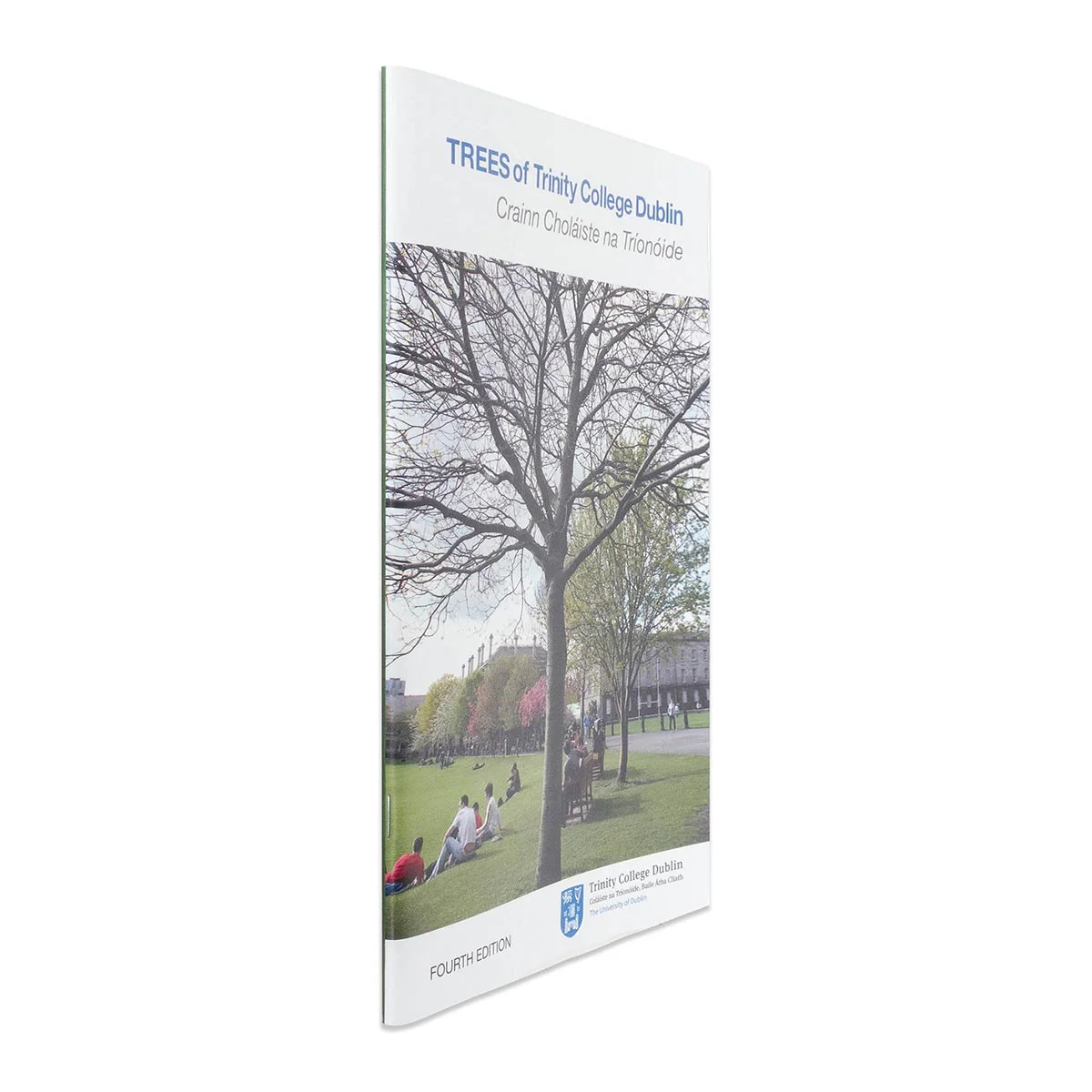 Trees of Trinity College Dublin. - Image 2