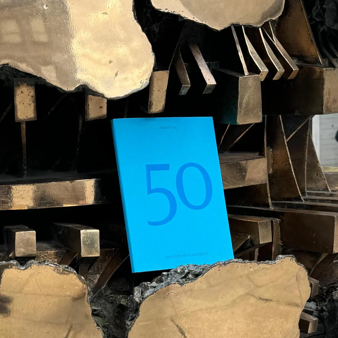 Trinity in 50, The Story of a University - Image 3